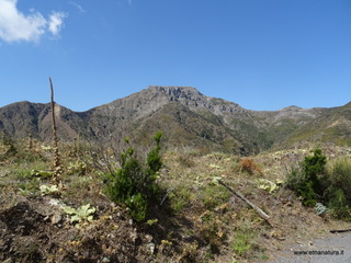 nte Scuderi-05-09-2020 11